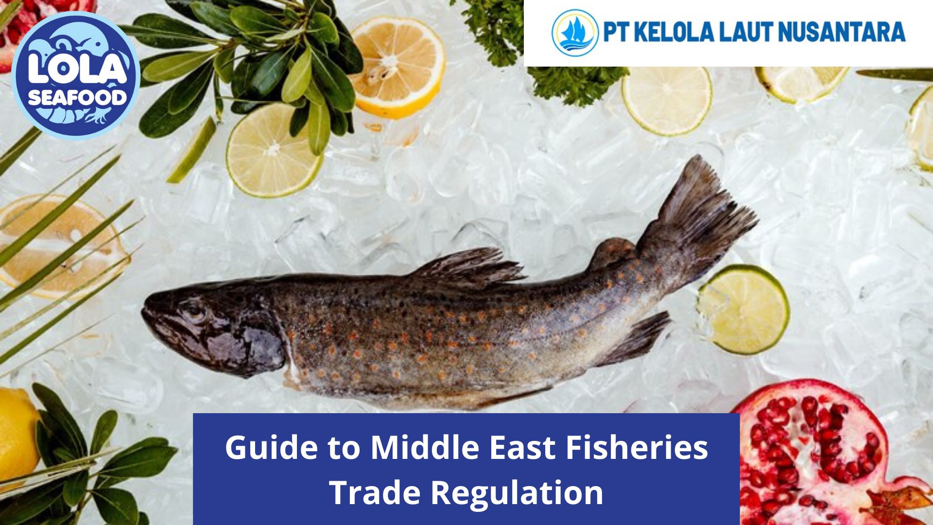 Guide to Middle East Fisheries Trade Regulation